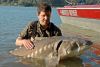 Prehistorický jeseter je svätým grálom rybolovu v Kanade. Zabojujte, pokochajte sa a pustite späť, také sú pravidlá.